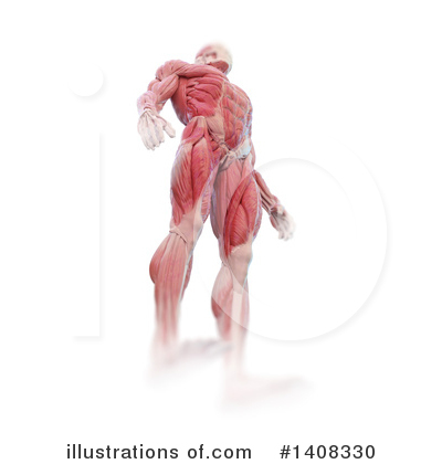 Royalty-Free (RF) Anatomy Clipart Illustration by Mopic - Stock Sample #1408330