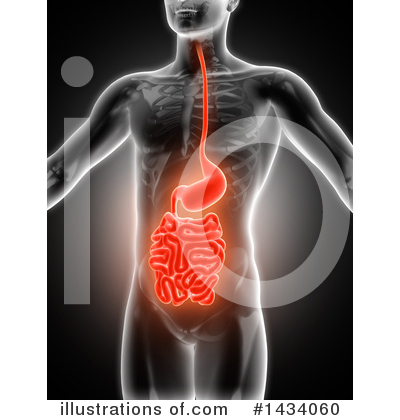 Intestines Clipart #1434060 by KJ Pargeter