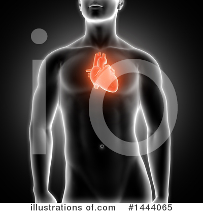 Human Heart Clipart #1444065 by KJ Pargeter