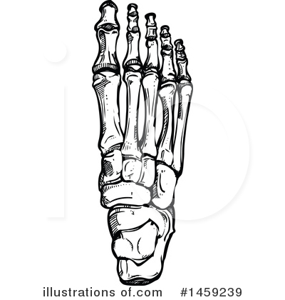 Royalty-Free (RF) Anatomy Clipart Illustration by Vector Tradition SM - Stock Sample #1459239