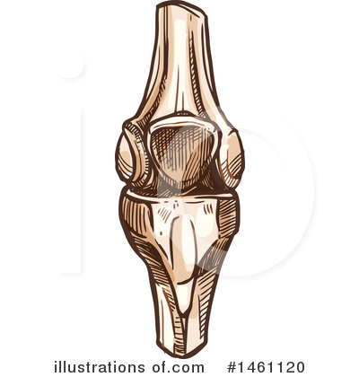 Royalty-Free (RF) Anatomy Clipart Illustration by Vector Tradition SM - Stock Sample #1461120