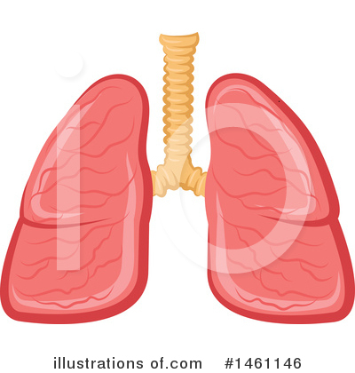 Lungs Clipart #1461146 by Vector Tradition SM