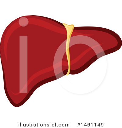 Liver Clipart #1461149 by Vector Tradition SM