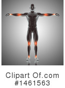 Anatomy Clipart #1461563 by KJ Pargeter