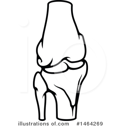 Royalty-Free (RF) Anatomy Clipart Illustration by Vector Tradition SM - Stock Sample #1464269