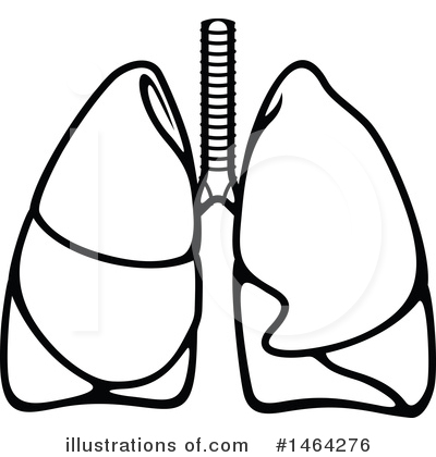 Lungs Clipart #1464276 by Vector Tradition SM