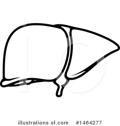 Liver Clipart #1464277 by Vector Tradition SM