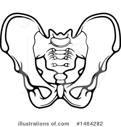 Royalty-Free (RF) Anatomy Clipart Illustration by Vector Tradition SM - Stock Sample #1464282
