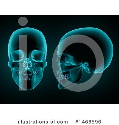 Skull Clipart #1466596 by KJ Pargeter