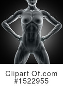 Anatomy Clipart #1522955 by KJ Pargeter