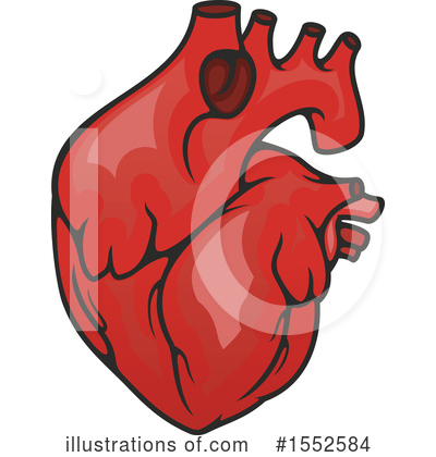 Human Heart Clipart #1552584 by Vector Tradition SM