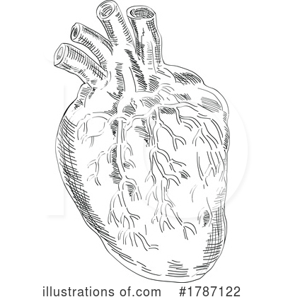 Heart Clipart #1787122 by patrimonio