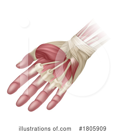 Royalty-Free (RF) Anatomy Clipart Illustration by AtStockIllustration - Stock Sample #1805909