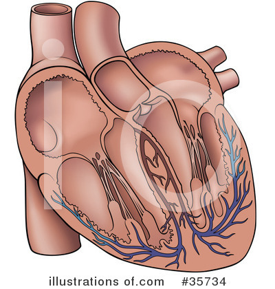 Royalty-Free (RF) Anatomy Clipart Illustration by dero - Stock Sample #35734