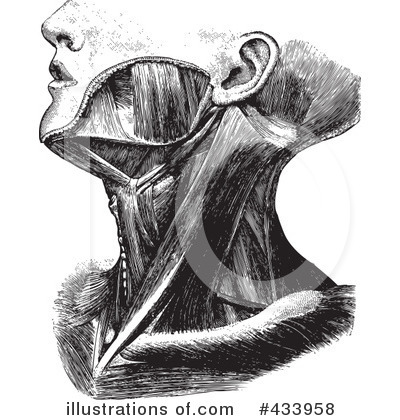Royalty-Free (RF) Anatomy Clipart Illustration by BestVector - Stock Sample #433958