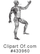 Anatomy Clipart #433960 by BestVector