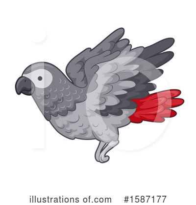 Parrot Clipart #1587177 by BNP Design Studio