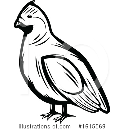 Quail Clipart #1615569 by Vector Tradition SM