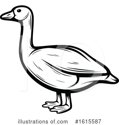 Duck Clipart #1615587 by Vector Tradition SM