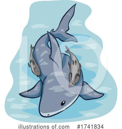 Shark Clipart #1741834 by BNP Design Studio