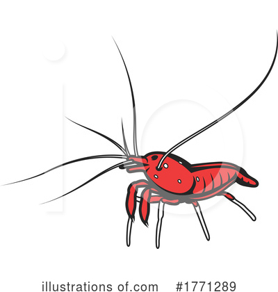 Shrimps Clipart #1771289 by Vector Tradition SM