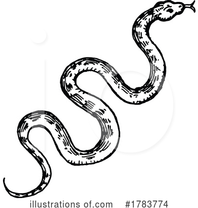 Snake Clipart #1783774 by Vector Tradition SM