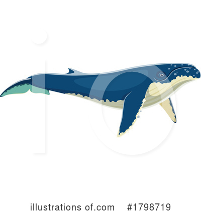 Humpback Whale Clipart #1798719 by Vector Tradition SM