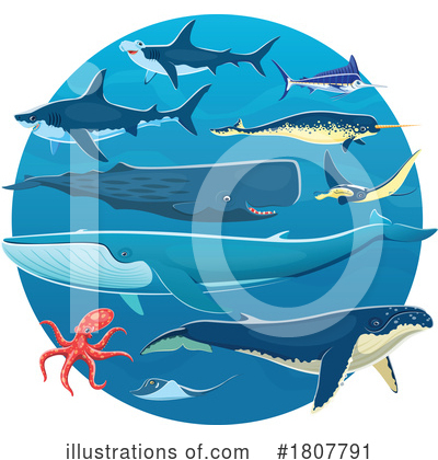 Sharks Clipart #1807791 by Vector Tradition SM