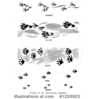 Beaver Clipart #1220923 by Picsburg