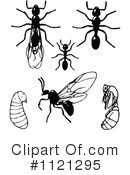 Ant Clipart #1121295 by Prawny Vintage