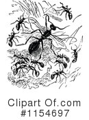 Ant Clipart #1154697 by Prawny Vintage