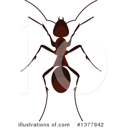 Royalty-Free (RF) Ant Clipart Illustration by Vector Tradition SM - Stock Sample #1377942