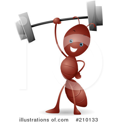 Lifting Weights Clipart #210133 by BNP Design Studio