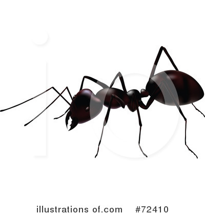 Royalty-Free (RF) Ant Clipart Illustration by cidepix - Stock Sample #72410