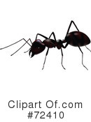 Ant Clipart #72410 by cidepix
