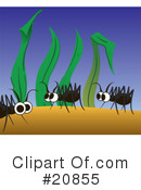 Ants Clipart #20855 by Paulo Resende