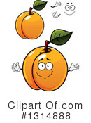 Apricot Clipart #1314888 by Vector Tradition SM