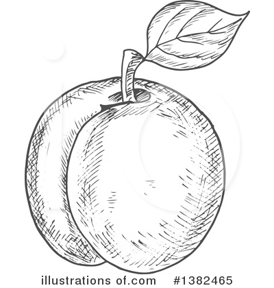 Royalty-Free (RF) Apricot Clipart Illustration by Vector Tradition SM - Stock Sample #1382465