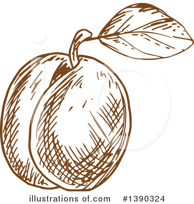 Nectarine Clipart #1390324 by Vector Tradition SM