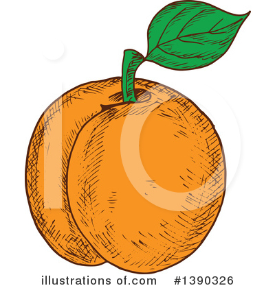 Royalty-Free (RF) Apricot Clipart Illustration by Vector Tradition SM - Stock Sample #1390326