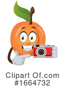 Apricot Clipart #1664732 by Morphart Creations