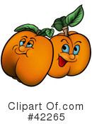 Apricot Clipart #42265 by dero