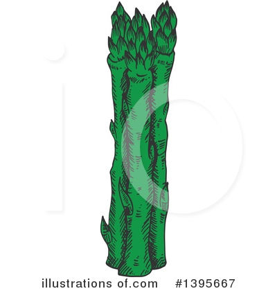 Royalty-Free (RF) Asparagus Clipart Illustration by Vector Tradition SM - Stock Sample #1395667