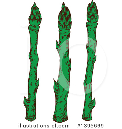 Royalty-Free (RF) Asparagus Clipart Illustration by Vector Tradition SM - Stock Sample #1395669