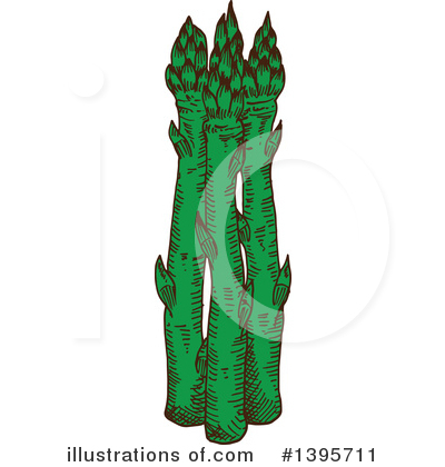 Royalty-Free (RF) Asparagus Clipart Illustration by Vector Tradition SM - Stock Sample #1395711
