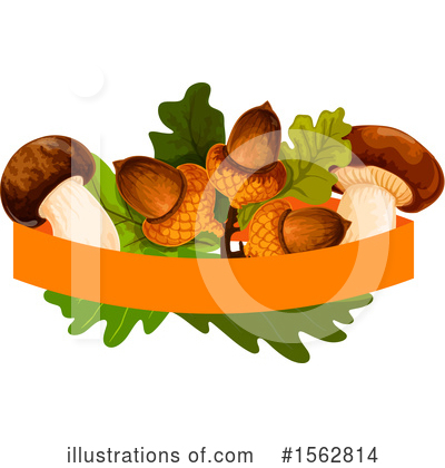 Acorn Clipart #1562814 by Vector Tradition SM