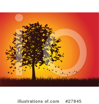 Maple Tree Clipart #27845 by KJ Pargeter