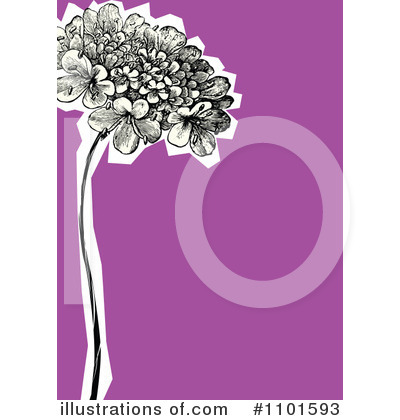 Hydrangea Clipart #1101593 by BestVector