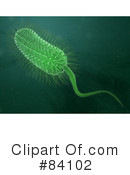 Bacteria Clipart #84102 by Mopic