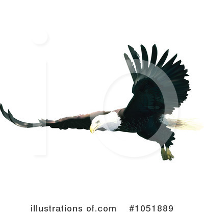 Royalty-Free (RF) Bald Eagle Clipart Illustration by dero - Stock Sample #1051889